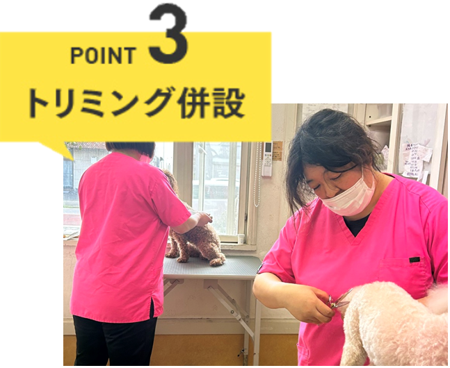 トリミング併設
